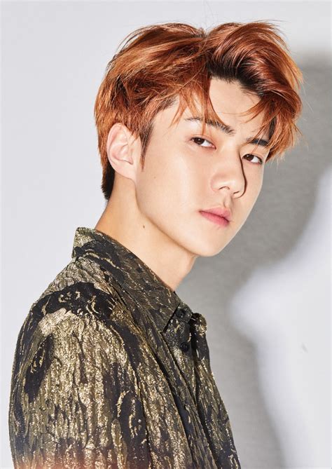 Sehun 